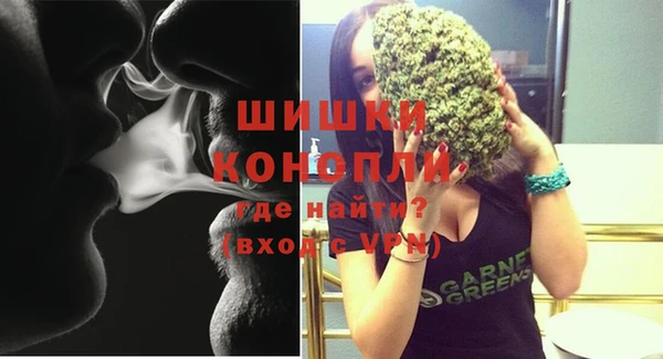 индика Дмитров