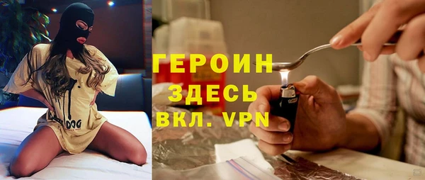 индика Дмитров