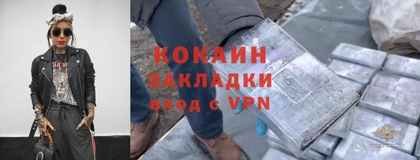 индика Дмитров