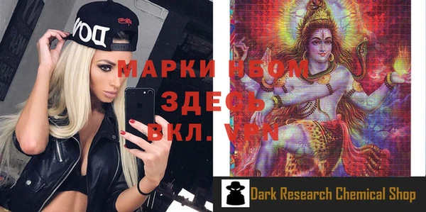 индика Дмитров