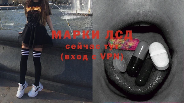 индика Дмитров