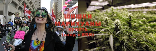 марихуана Дмитровск