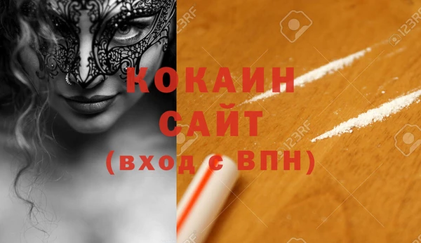 индика Дмитров