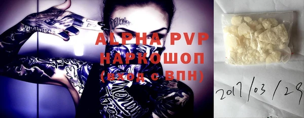 индика Дмитров