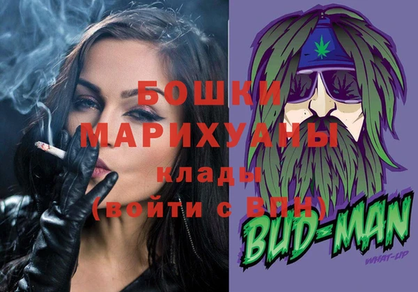 индика Дмитров