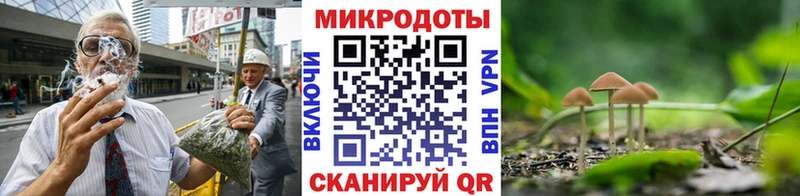 купить   Гусев  Галлюциногенные грибы Psilocybe 